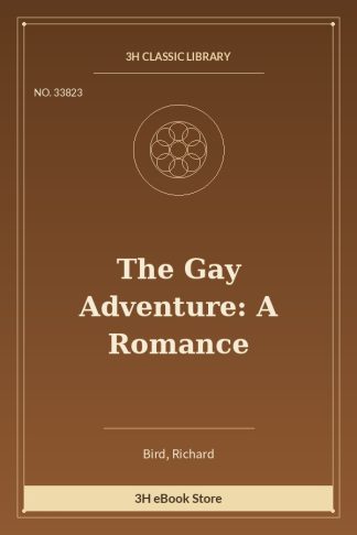 The Gay Adventure: A Romance