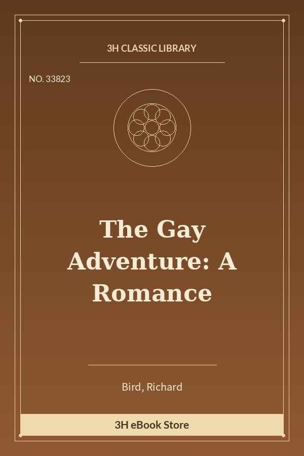 The Gay Adventure: A Romance