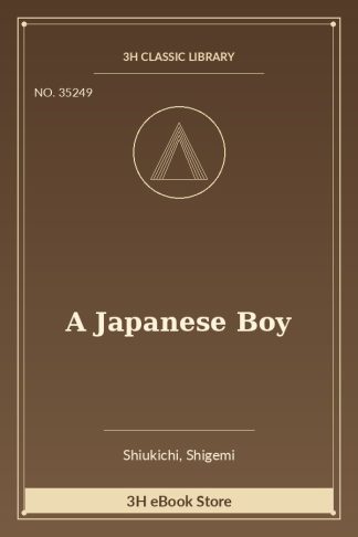 A Japanese Boy