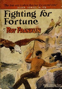 Fighting for fortune: or, Making a place for himself